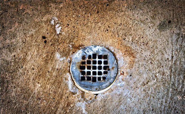 https://blockeddrainsnorthfremantle.com.au/uploads/2025/07/blocked-shower-drains-20432.jpg