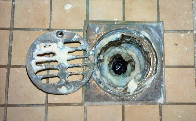 https://blockeddrainsnorthfremantle.com.au/uploads/2025/07/blocked-shower-drains-33151.jpg