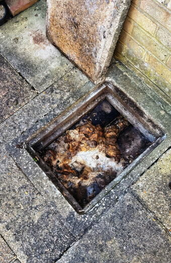 https://blockeddrainsnorthfremantle.com.au/uploads/2025/07/hero-blocked-sewers-64792.jpg